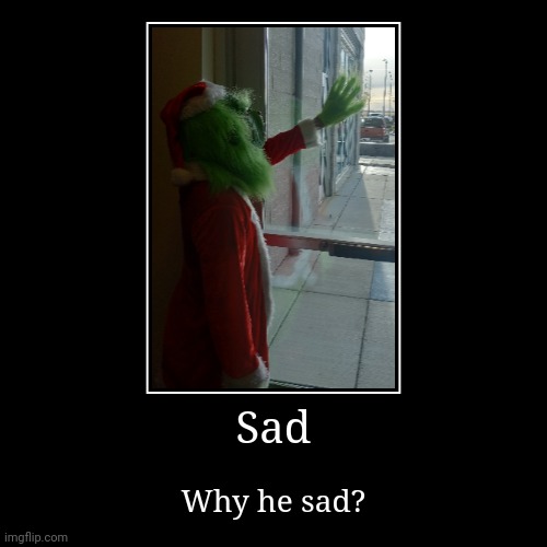 Idk why, but I decided to use grinch. Don't ask. | image tagged in funny,demotivationals,grinch,sad,why | made w/ Imgflip demotivational maker