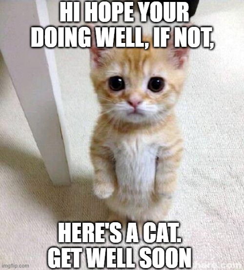 have a good day :) |  HI HOPE YOUR DOING WELL, IF NOT, HERE'S A CAT. GET WELL SOON | image tagged in memes,cute cat,have a nice day,cat,get well soon | made w/ Imgflip meme maker
