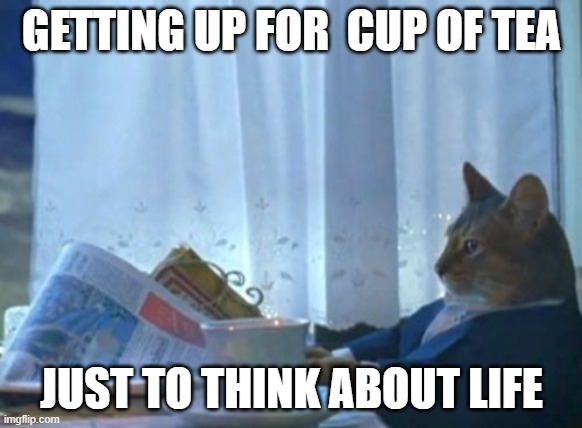 pondering about life first thing in the morning | GETTING UP FOR  CUP OF TEA; JUST TO THINK ABOUT LIFE | image tagged in memes,i should buy a boat cat,life,tea,morning | made w/ Imgflip meme maker