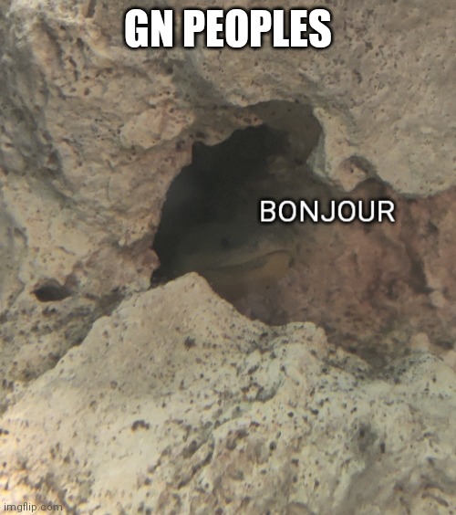 Bonjour | GN PEOPLES | image tagged in bonjour | made w/ Imgflip meme maker