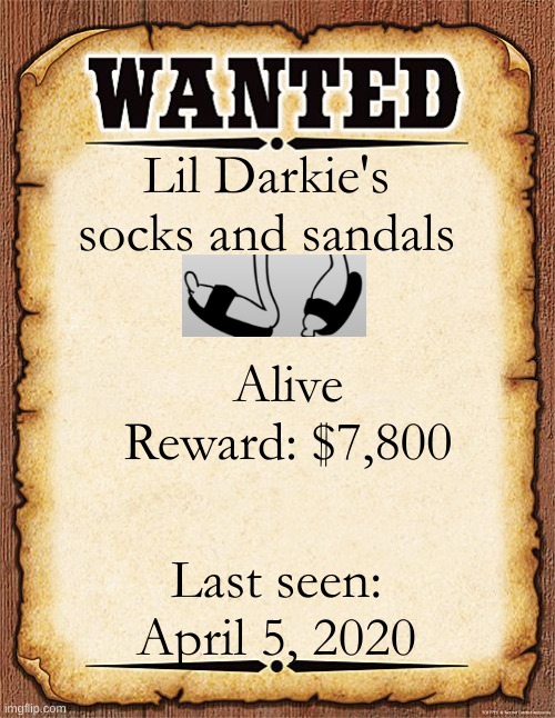 We urgently need to find them! | Lil Darkie's socks and sandals; Alive
Reward: $7,800; Last seen: April 5, 2020 | image tagged in wanted poster | made w/ Imgflip meme maker