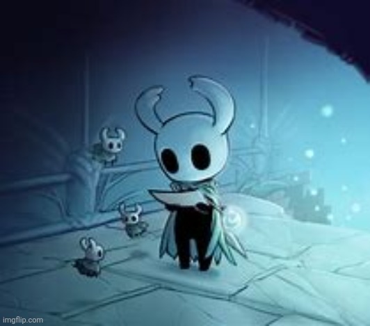 Hollow kinght | image tagged in hollow knight | made w/ Imgflip meme maker