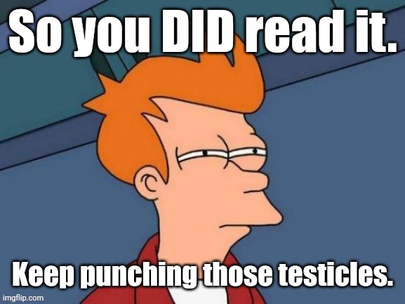 Fry is not sure... | So you DID read it. Keep punching those testicles. | image tagged in fry is not sure | made w/ Imgflip meme maker