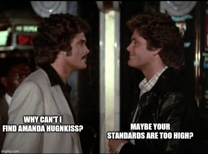 Amanda hugnkiss | MAYBE YOUR STANDARDS ARE TOO HIGH? WHY CAN'T I FIND AMANDA HUGNKISS? | image tagged in knight rider | made w/ Imgflip meme maker