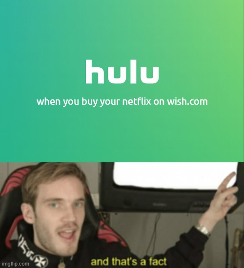 Seriously, what do they have? | when you buy your netflix on wish.com | image tagged in hulu,and that's a fact pewdiepie,memes,netflix,wishdotcom,cheap | made w/ Imgflip meme maker