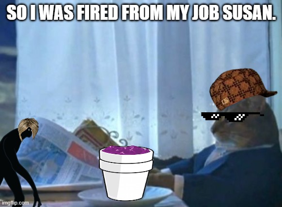 how is the job | SO I WAS FIRED FROM MY JOB SUSAN. | image tagged in memes,i should buy a boat cat | made w/ Imgflip meme maker