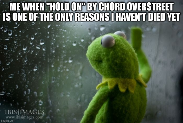 "Come back, I still need you" hits me hard, everytime. Suicide love songs be like: | ME WHEN "HOLD ON" BY CHORD OVERSTREET IS ONE OF THE ONLY REASONS I HAVEN'T DIED YET | image tagged in kermit window | made w/ Imgflip meme maker