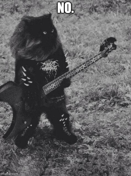 Black Metal Cat | NO. | image tagged in black metal cat | made w/ Imgflip meme maker