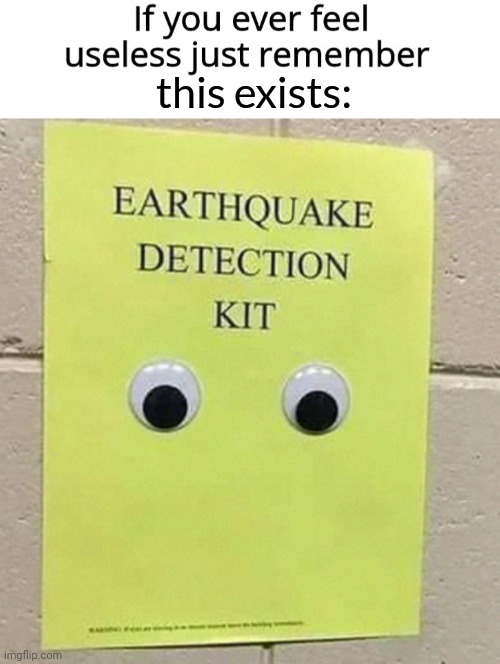 Like this is a stroke of genius but it's easy to make and who needs this test- |  this exists: | image tagged in if you ever feel useless remember this,earthquake,useless,science | made w/ Imgflip meme maker