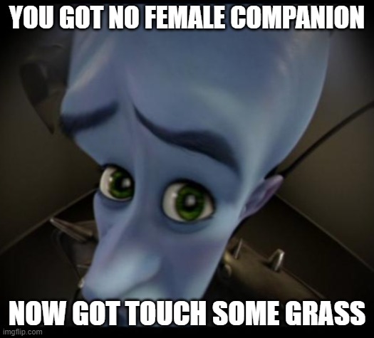 facts | YOU GOT NO FEMALE COMPANION; NOW GOT TOUCH SOME GRASS | image tagged in no bitches | made w/ Imgflip meme maker
