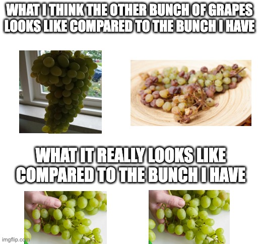 Comparing Grapes | WHAT I THINK THE OTHER BUNCH OF GRAPES LOOKS LIKE COMPARED TO THE BUNCH I HAVE; WHAT IT REALLY LOOKS LIKE COMPARED TO THE BUNCH I HAVE | image tagged in blank white template | made w/ Imgflip meme maker