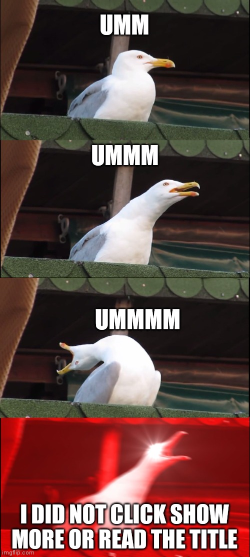 Inhaling Seagull Meme | UMM UMMM UMMMM I DID NOT CLICK SHOW MORE OR READ THE TITLE | image tagged in memes,inhaling seagull | made w/ Imgflip meme maker