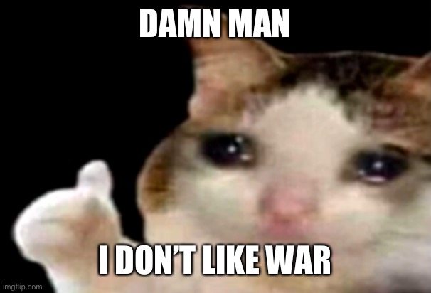 If WW3 happens the earth is completely screwed | DAMN MAN; I DON’T LIKE WAR | image tagged in sad cat thumbs up | made w/ Imgflip meme maker