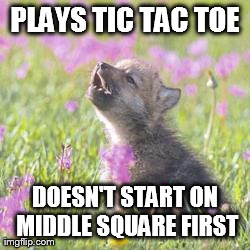 PLAYS TIC TAC TOE DOESN'T START ON MIDDLE SQUARE FIRST | image tagged in baby insanity wolf,AdviceAnimals | made w/ Imgflip meme maker