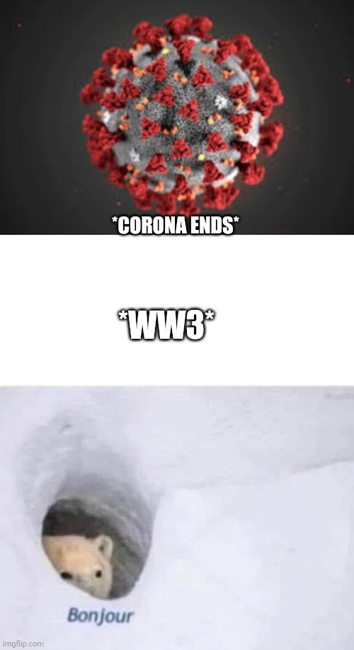 *CORONA ENDS*; *WW3* | image tagged in bonjour | made w/ Imgflip meme maker