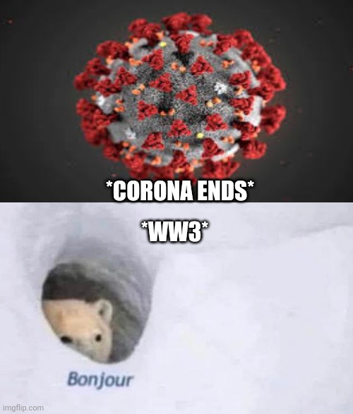 Bonjour | *WW3*; *CORONA ENDS* | image tagged in bonjour | made w/ Imgflip meme maker