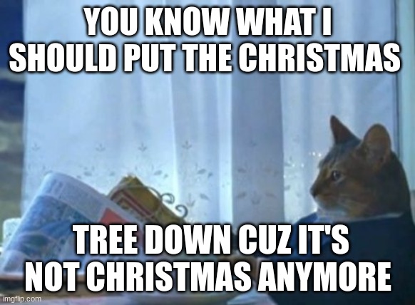 I should do that |  YOU KNOW WHAT I SHOULD PUT THE CHRISTMAS; TREE DOWN CUZ IT'S NOT CHRISTMAS ANYMORE | image tagged in memes,i should buy a boat cat | made w/ Imgflip meme maker