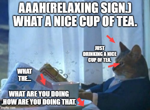 Cat drinking a nice cup of tea. | AAAH(RELAXING SIGN.) WHAT A NICE CUP OF TEA. JUST DRINKING A NICE CUP OF TEA. WHAT THE... WHAT ARE YOU DOING .HOW ARE YOU DOING THAT. | image tagged in memes,i should buy a boat cat | made w/ Imgflip meme maker