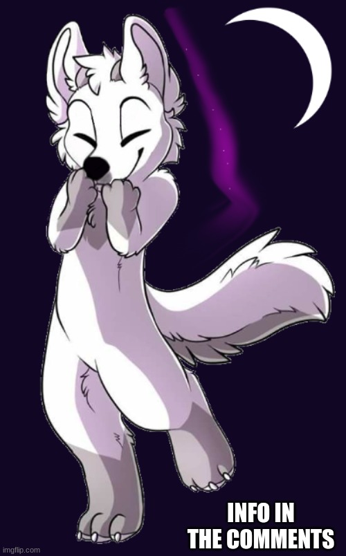 my fursona: stardust | INFO IN THE COMMENTS | image tagged in furry | made w/ Imgflip meme maker