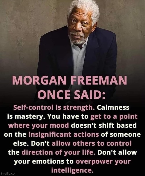 What a wise man | image tagged in morgan freeman,true,humanity | made w/ Imgflip meme maker