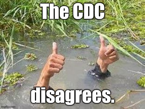 This is fine. No problem. | The CDC disagrees. | image tagged in this is fine no problem | made w/ Imgflip meme maker