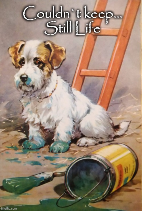 Doggie Art |  Couldn`t keep...
Still Life | image tagged in this is my life | made w/ Imgflip meme maker