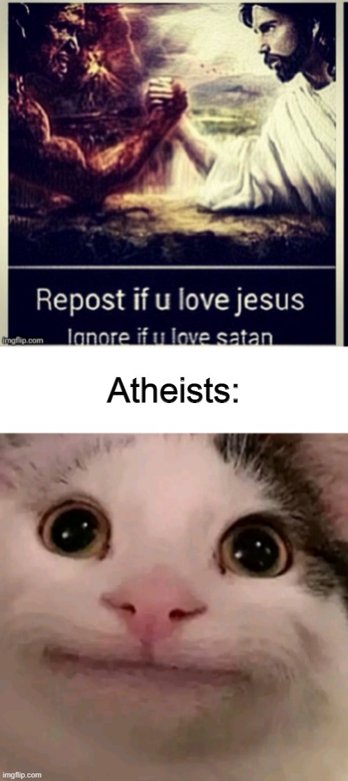 Atheists: | image tagged in beluga | made w/ Imgflip meme maker