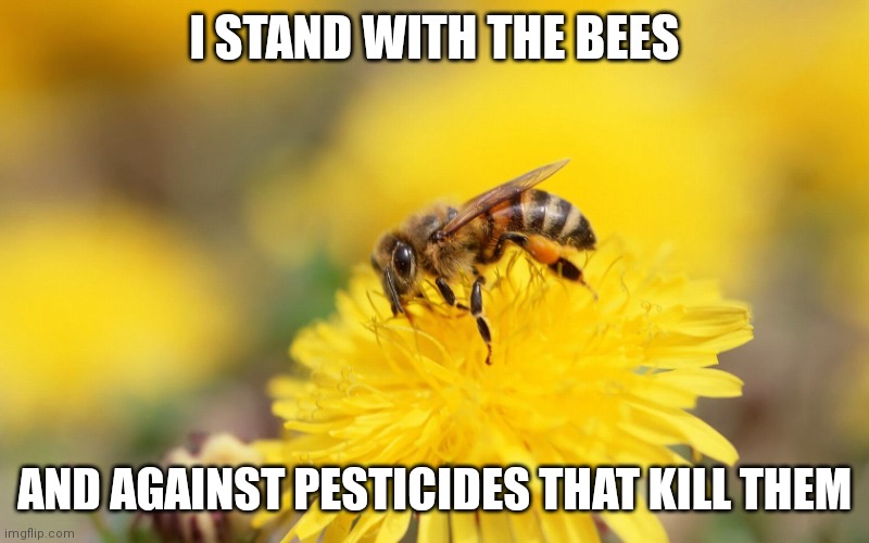 Another thing to take in mind other than the Russia/Ukraine war | I STAND WITH THE BEES; AND AGAINST PESTICIDES THAT KILL THEM | image tagged in a bee on flower,memes,save the bees,bees,nature | made w/ Imgflip meme maker