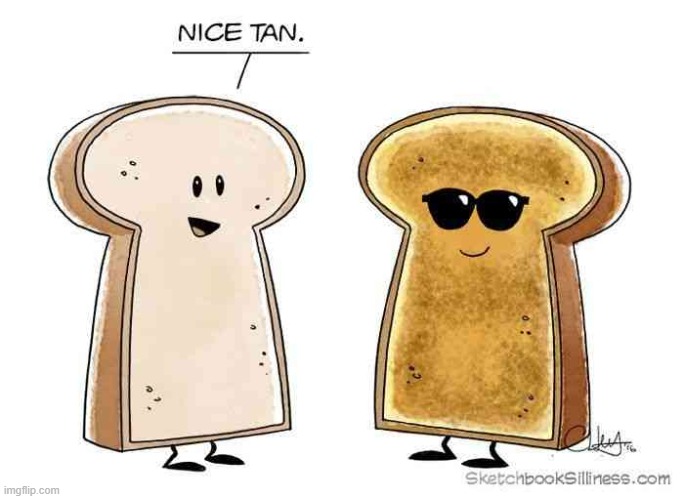 image tagged in comics,bread,tan | made w/ Imgflip meme maker