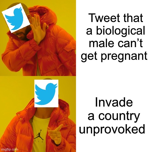 Priorities | Tweet that a biological male can’t get pregnant; Invade a country unprovoked | image tagged in memes,drake hotline bling,politics lol,derp | made w/ Imgflip meme maker