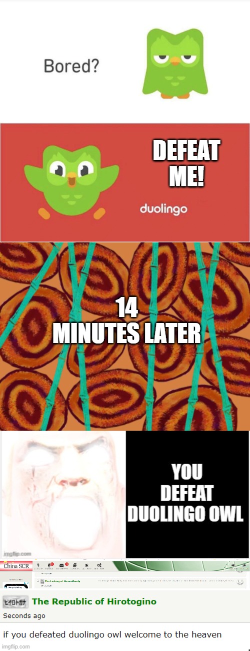 fight with duo |  DEFEAT ME! 14 MINUTES LATER | image tagged in duolingo bored,duolingo bird,duolingo gun,duolingo,mr incredible becoming canny,if you defeat duolingo welcome to the heaven | made w/ Imgflip meme maker