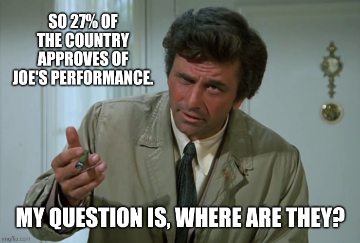 I don't think they exist. | SO 27% OF THE COUNTRY APPROVES OF JOE'S PERFORMANCE. MY QUESTION IS, WHERE ARE THEY? | image tagged in columbo | made w/ Imgflip meme maker