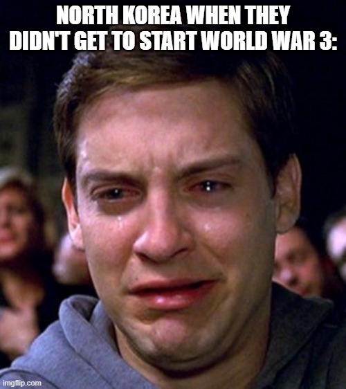 ㅤㅤㅤㅤ | NORTH KOREA WHEN THEY DIDN'T GET TO START WORLD WAR 3: | image tagged in crying peter parker,world war 3 | made w/ Imgflip meme maker