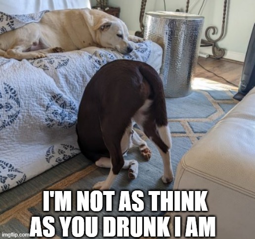 I'M NOT AS THINK AS YOU DRUNK I AM | image tagged in funny,drinking,drunk,dogs | made w/ Imgflip meme maker