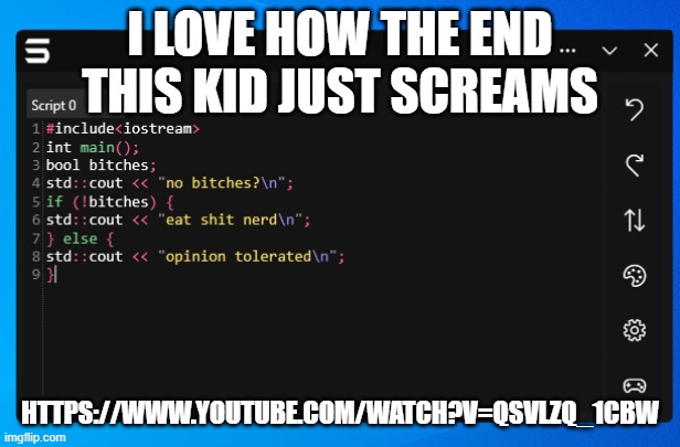 No Bitches Reborn [FE] | I LOVE HOW THE END THIS KID JUST SCREAMS; HTTPS://WWW.YOUTUBE.COM/WATCH?V=QSVLZQ_1CBW | image tagged in no bitches reborn fe | made w/ Imgflip meme maker