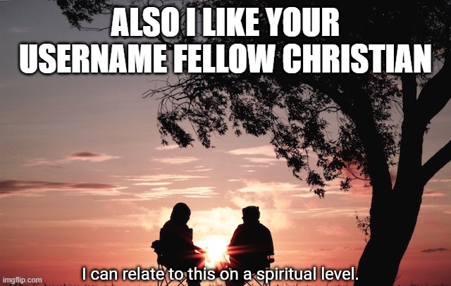 I can relate to this on a spiritual level. | ALSO I LIKE YOUR USERNAME FELLOW CHRISTIAN | image tagged in i can relate to this on a spiritual level | made w/ Imgflip meme maker