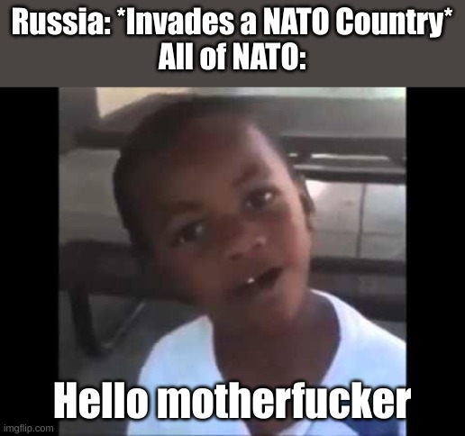 Hello motherfucker | Russia: *Invades a NATO Country*
All of NATO:; Hello motherfucker | image tagged in hello motherfucker | made w/ Imgflip meme maker