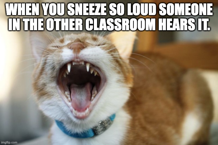 sneeze | WHEN YOU SNEEZE SO LOUD SOMEONE IN THE OTHER CLASSROOM HEARS IT. | image tagged in sneeze | made w/ Imgflip meme maker
