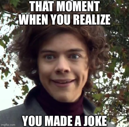Making a joke | THAT MOMENT WHEN YOU REALIZE; YOU MADE A JOKE | image tagged in harry funny face,memes,jokes | made w/ Imgflip meme maker