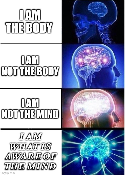 Drop the mind body delusion and turn attention to Awareness |  I AM THE BODY; I AM NOT THE BODY; I AM NOT THE MIND; 𝑰 𝑨𝑴 𝑾𝑯𝑨𝑻 𝑰𝑺 𝑨𝑾𝑨𝑹𝑬 𝑶𝑭 𝑻𝑯𝑬 𝑴𝑰𝑵𝑫 | image tagged in memes,expanding brain | made w/ Imgflip meme maker