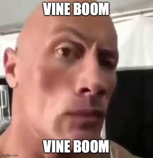 The Rock Eyebrows | VINE BOOM VINE BOOM | image tagged in the rock eyebrows | made w/ Imgflip meme maker