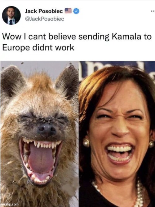 Cackling Kamala--The WORST VP to The WORST POTUS Ever... | image tagged in politics,kamala harris,joe biden,dumb and dumber,democrats,incompetence | made w/ Imgflip meme maker