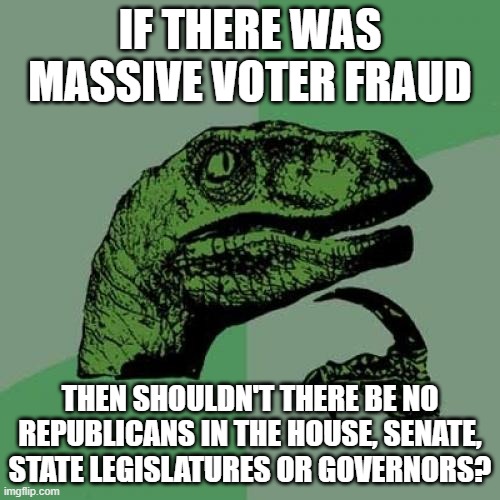 Philosoraptor Meme | IF THERE WAS MASSIVE VOTER FRAUD; THEN SHOULDN'T THERE BE NO REPUBLICANS IN THE HOUSE, SENATE, STATE LEGISLATURES OR GOVERNORS? | image tagged in memes,philosoraptor | made w/ Imgflip meme maker