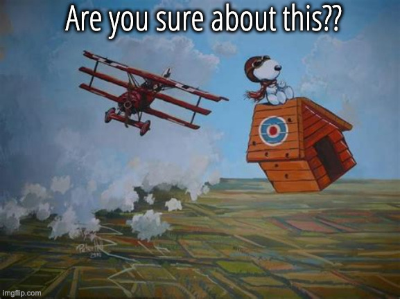 When You Let Your Pride Pick Your Fights | Are you sure about this?? | image tagged in snoopy red baron | made w/ Imgflip meme maker
