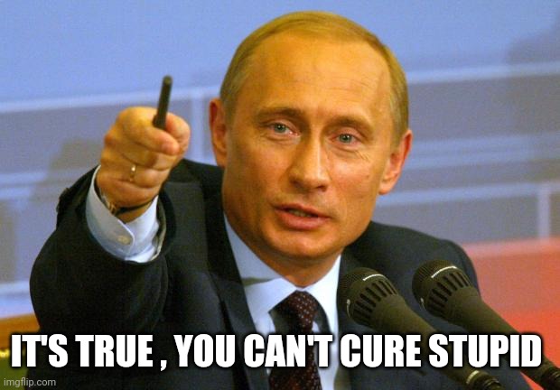 Good Guy Putin Meme | IT'S TRUE , YOU CAN'T CURE STUPID | image tagged in memes,good guy putin | made w/ Imgflip meme maker