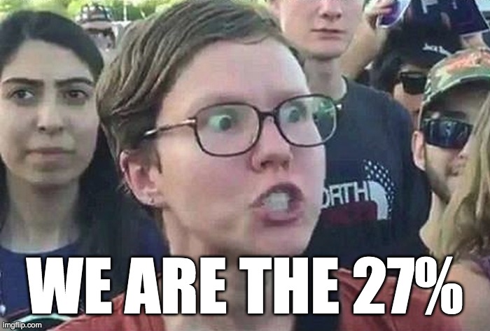 Triggered Liberal | WE ARE THE 27% | image tagged in triggered liberal | made w/ Imgflip meme maker