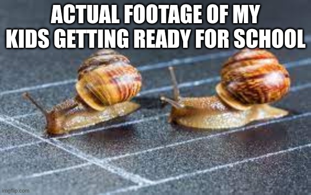 2000 years later | ACTUAL FOOTAGE OF MY KIDS GETTING READY FOR SCHOOL | image tagged in school,school meme,snail,funny,dank memes,homework | made w/ Imgflip meme maker