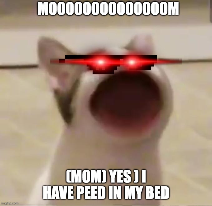 Pop Cat | MOOOOOOOOOOOOOOM; (MOM) YES ) I HAVE PEED IN MY BED | image tagged in pop cat | made w/ Imgflip meme maker