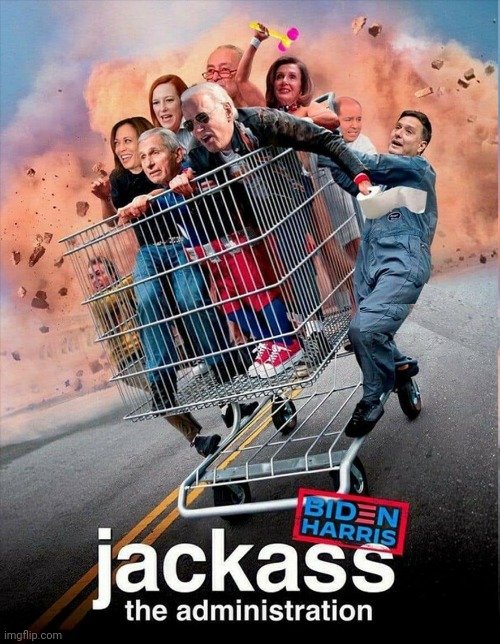 Jackass                                                                           The Administration | image tagged in jackass,administration | made w/ Imgflip meme maker