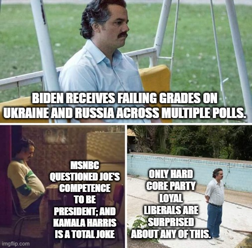 This is called . . . reality. | BIDEN RECEIVES FAILING GRADES ON UKRAINE AND RUSSIA ACROSS MULTIPLE POLLS. ONLY HARD CORE PARTY LOYAL LIBERALS ARE SURPRISED ABOUT ANY OF THIS. MSNBC QUESTIONED JOE'S COMPETENCE TO BE PRESIDENT; AND KAMALA HARRIS IS A TOTAL JOKE | image tagged in memes,sad pablo escobar | made w/ Imgflip meme maker